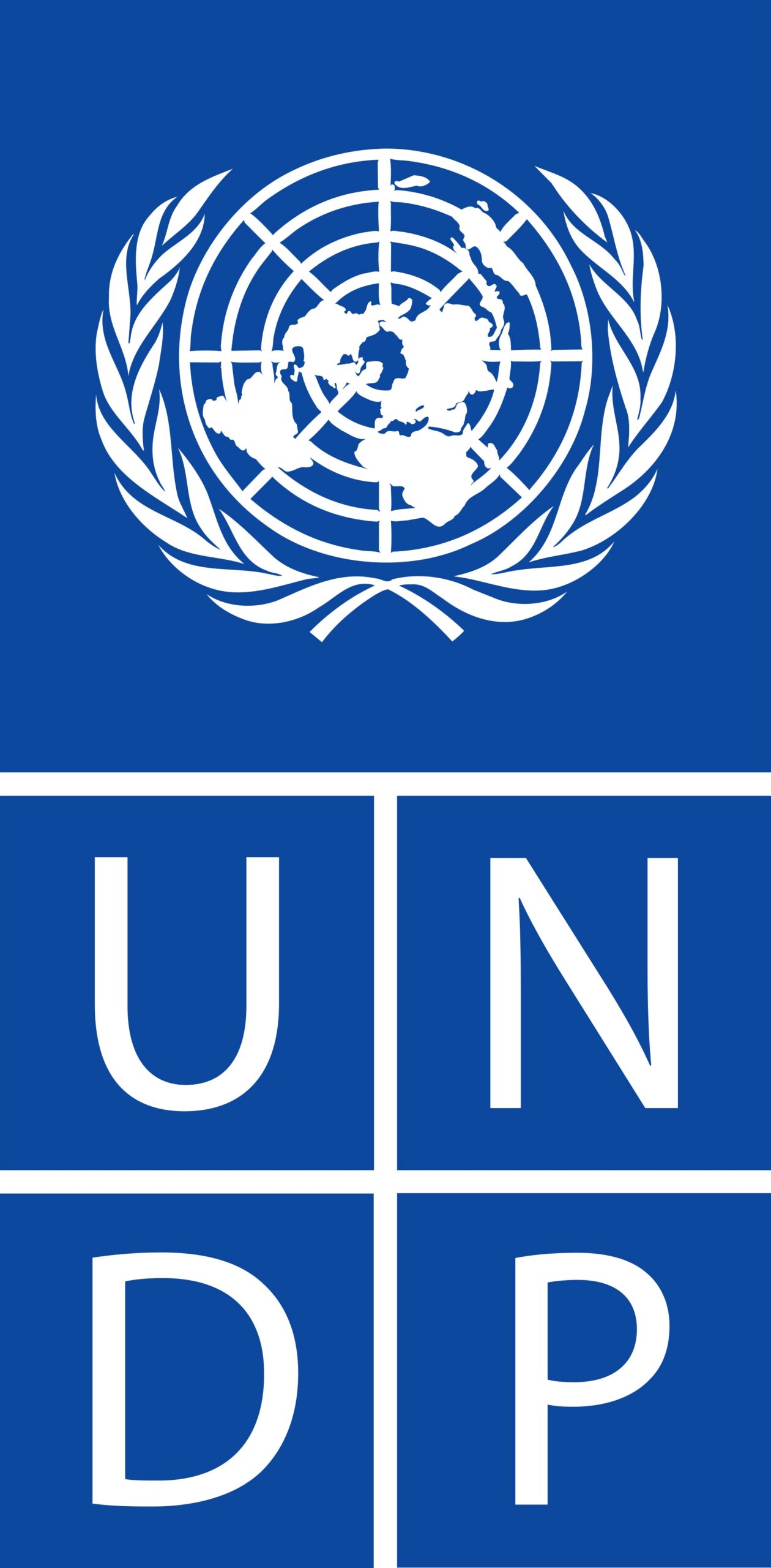 UNDP Blue jpg large